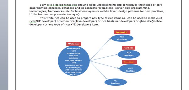 The screenshot displays a snippet from a developer’s resume, where he humorously compares himself to a bowl of plain white rice.