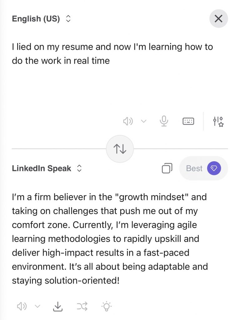 Screenshot of the LinkedIn translator tool, developed by Kagi
