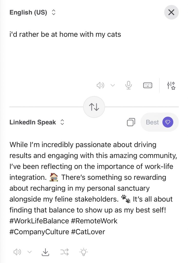 Screenshot of the LinkedIn translator tool, developed by Kagi