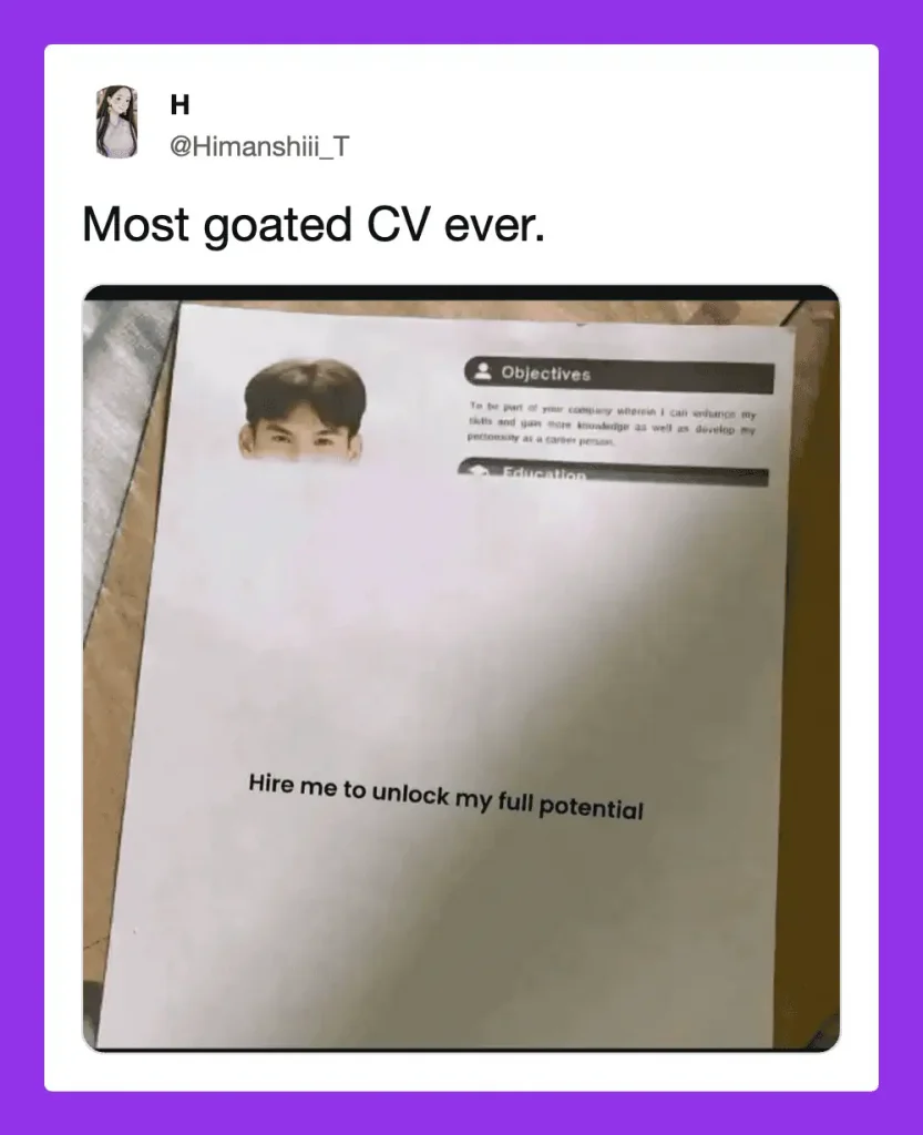 an example of a funny, creative resume
